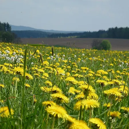 Fichtelgebirge *