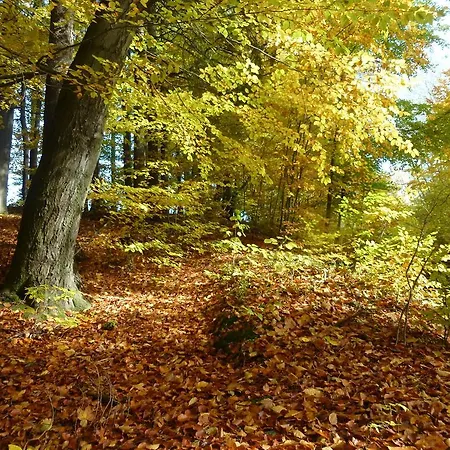 Fichtelgebirge * Kirchenlamitz